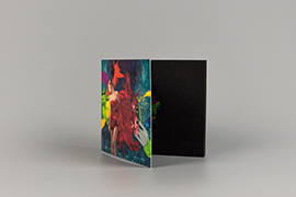 USB Digipack im CD Hüllen Format USB Digipack CD Format